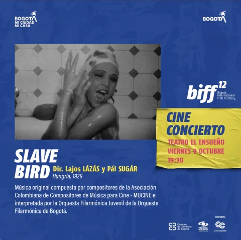 Cartel de Cine concierto biff - slave bird