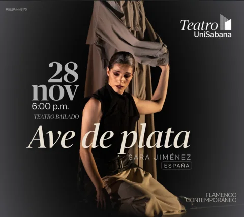 Cartel de "AVE DE PLATA", Sara Jimenez Teatro bailado