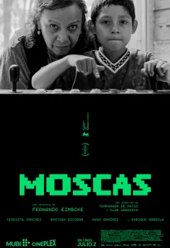 Cartel de Moscas