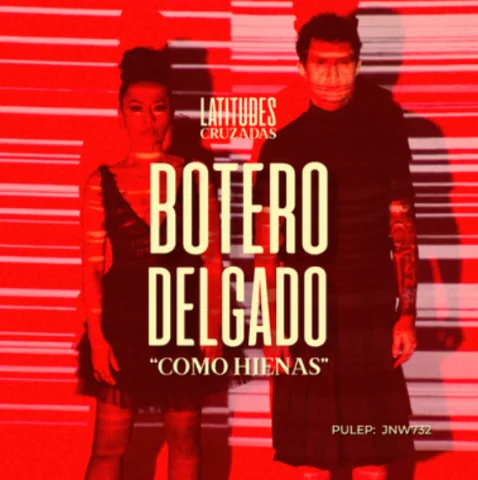 Cartel de Concierto Como Hienas